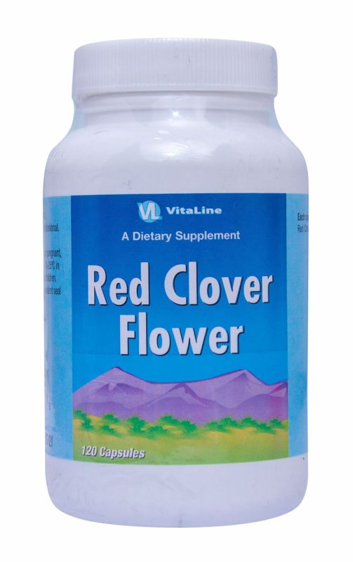 Цветки красного клевера (Red clover flowers)